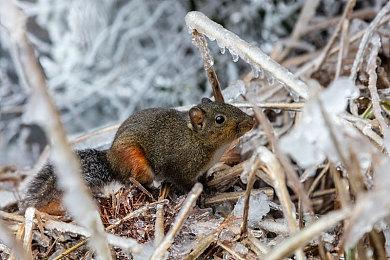 《铁拳8》TGS开发者访谈 多个游戏新系统介绍